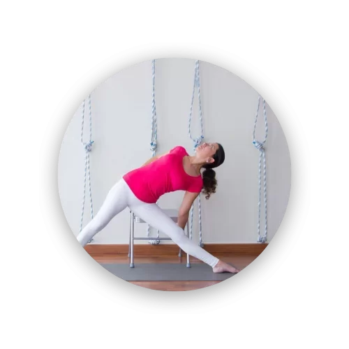 Evolution & Lineages 3 Iyengar Yoga