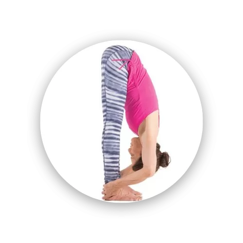 Evolution & Lineages 8 Vinyasa Yoga