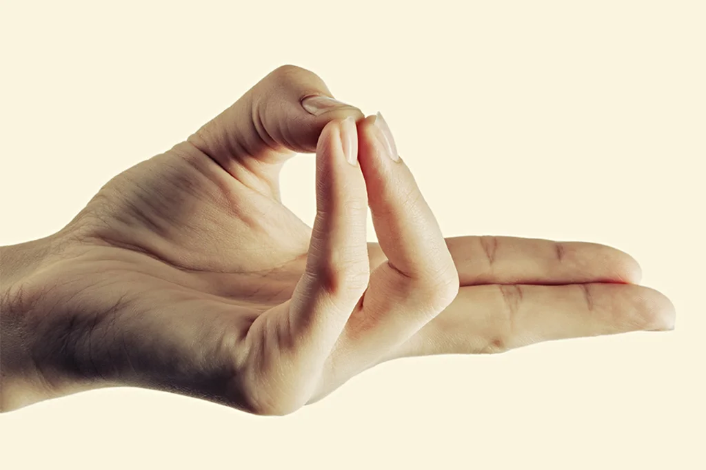 Prana Mudras | Yoga.in