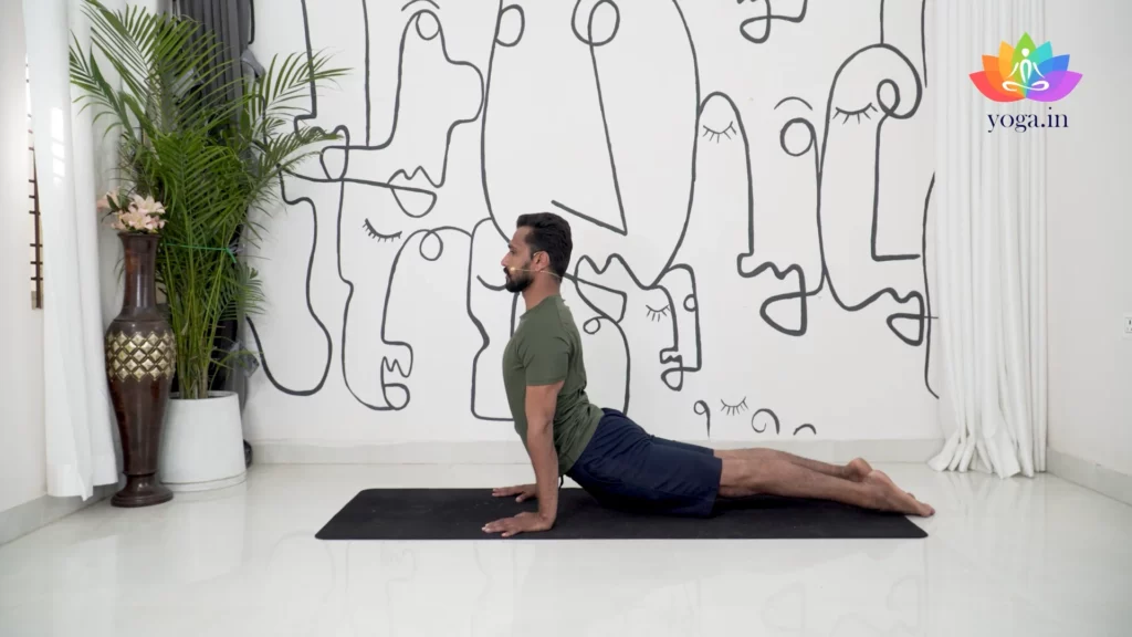 Discover 37 Urdhva Mukha Svanasana