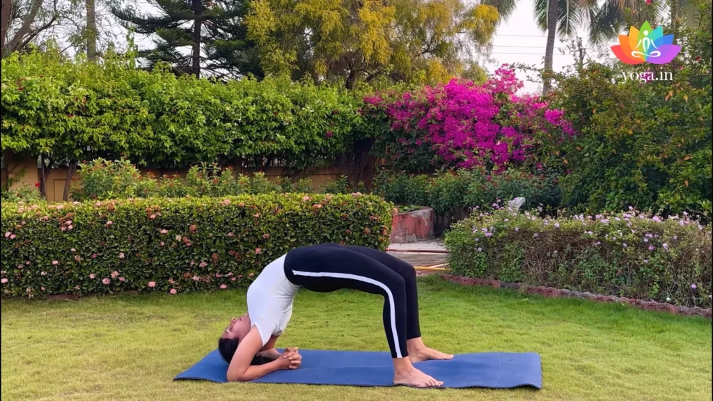 Discover 36 Viparita Dandasana